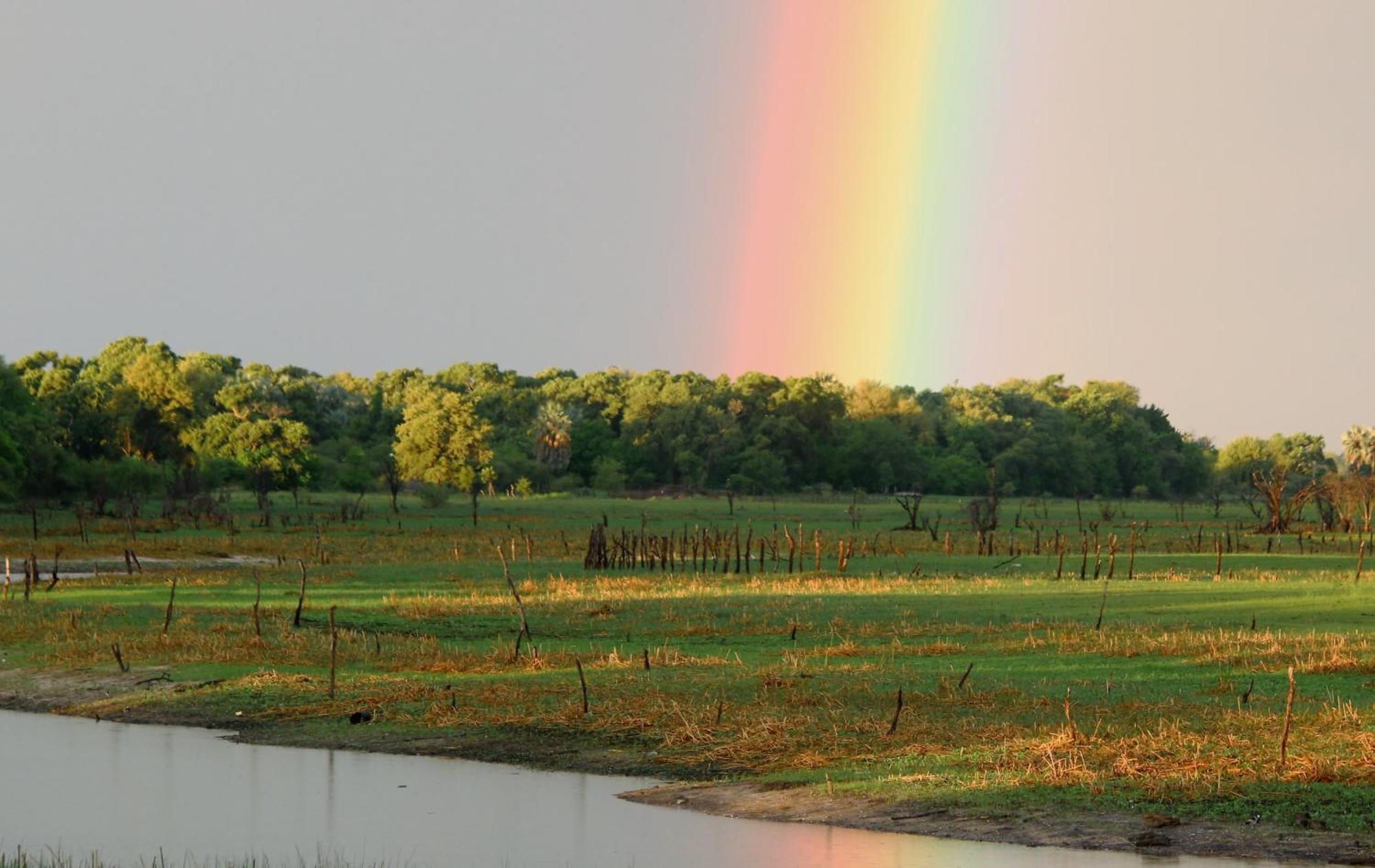 Island Safari Lodge Maun Kültér fotó