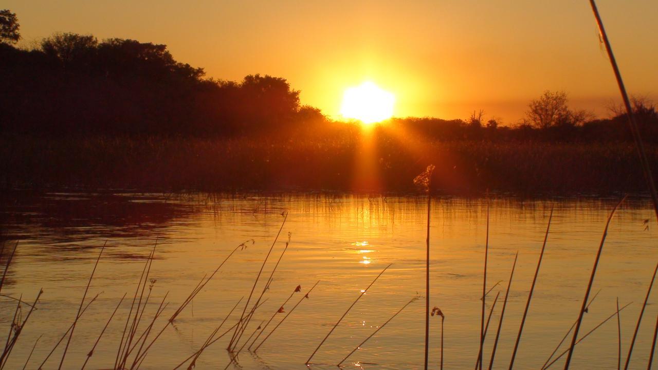 Island Safari Lodge Maun Kültér fotó