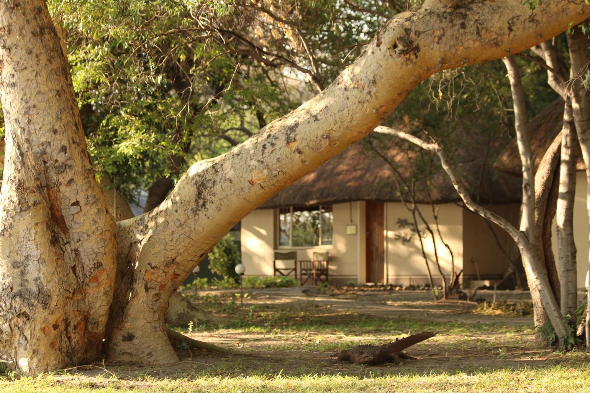 Island Safari Lodge Maun Kültér fotó